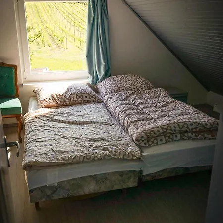 Дом отдыха Pinot Gris House Kaptalantoti