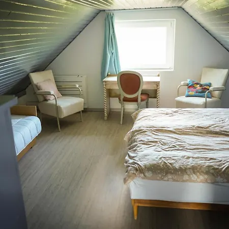 Pinot Gris House * Kaptalantoti