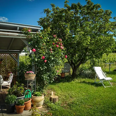 Pinot Gris House Nyaraló *