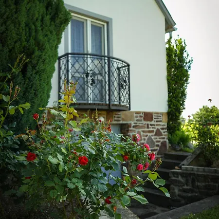 Pinot Gris House * Káptalantóti