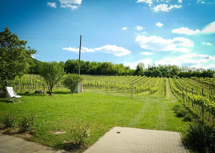 Pinot Gris House